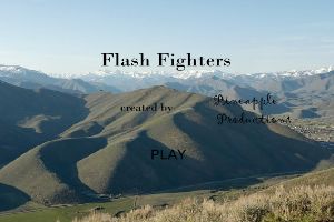 Flash-Fighters